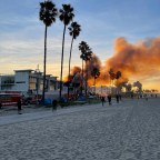 Introduction to LoveVenice.org